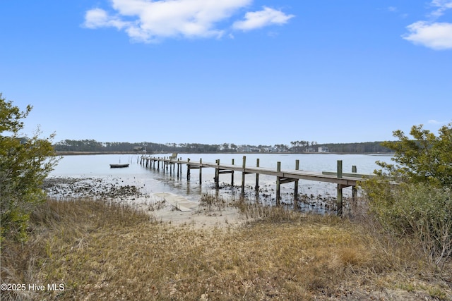 dock area featuring a water view