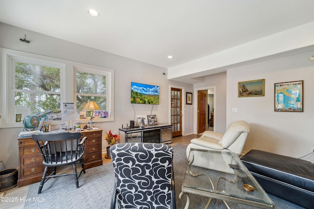 living room featuring hardwood / wood-style floors