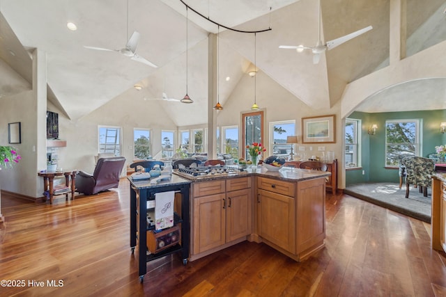 kitchen featuring ceiling fan, wood-type flooring, plenty of natural light, and dark stone counters