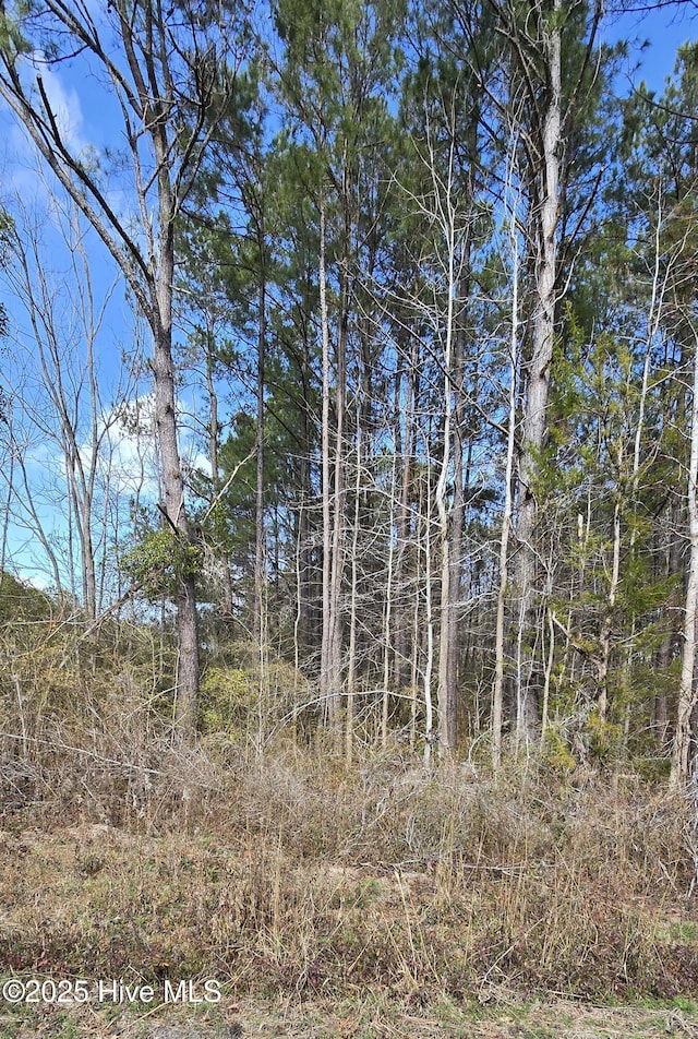 Listing photo 3 for 00 Funston Rd SE, Winnabow NC 28479