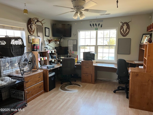 home office with ceiling fan, light hardwood / wood-style floors, and a healthy amount of sunlight