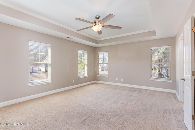 empty room with light carpet, a tray ceiling, and a healthy amount of sunlight