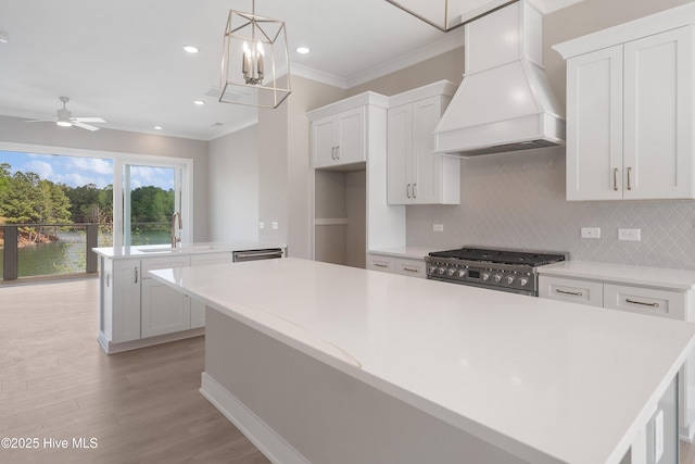 2660 Alvernia Dr, Castle Hayne, NC 28429 - kitchen with custom range hood, a sink, a kitchen island, ornamental molding, and light countertops