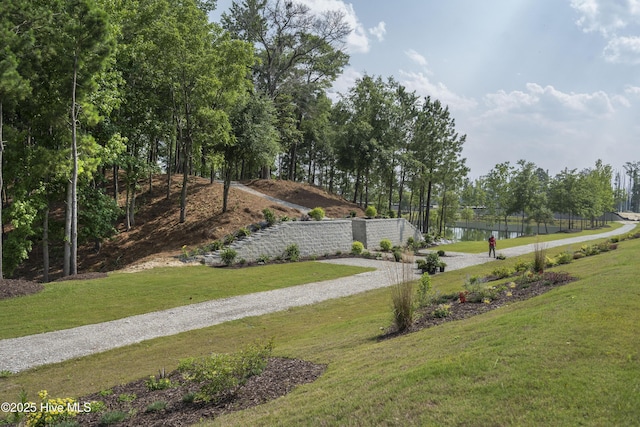 2660 Alvernia Dr, Castle Hayne, NC 28429 - view of home's community featuring a water view and a lawn