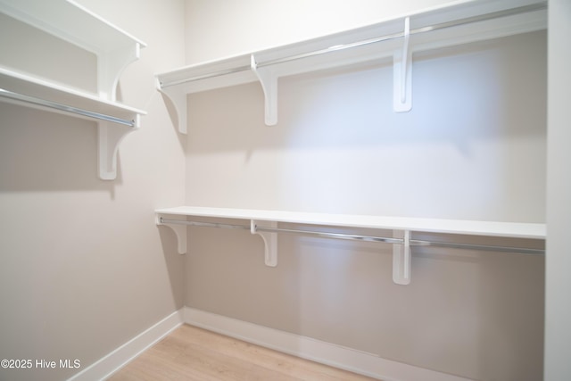 2660 Alvernia Dr, Castle Hayne, NC 28429 - spacious closet with light wood-type flooring