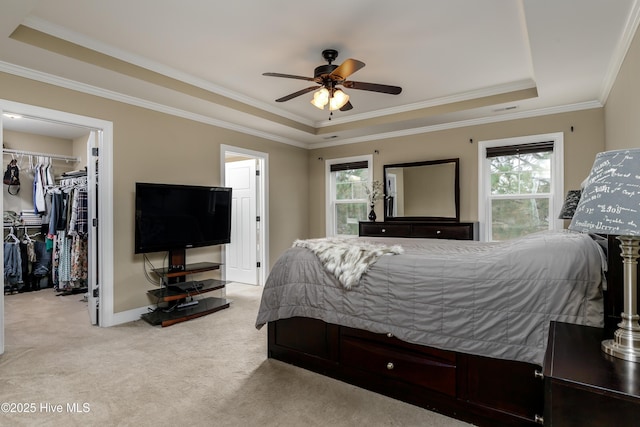 carpeted bedroom with ornamental molding, a tray ceiling, a closet, and a spacious closet