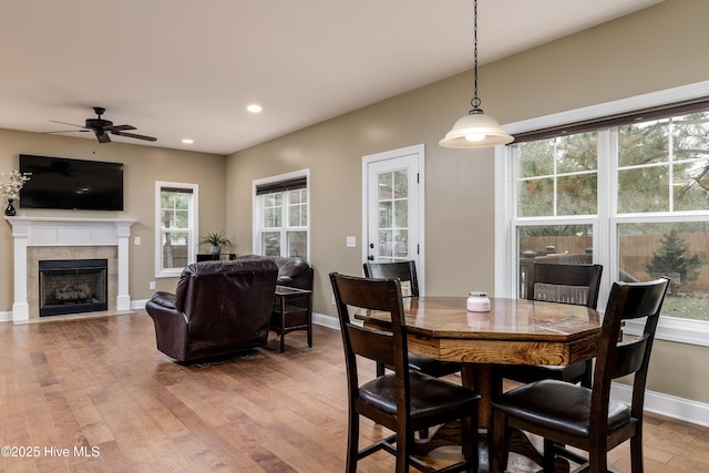 dining area with ceiling fan and light wood-type flooring