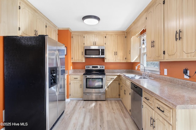 kitchen with sink, light hardwood / wood-style floors, and appliances with stainless steel finishes