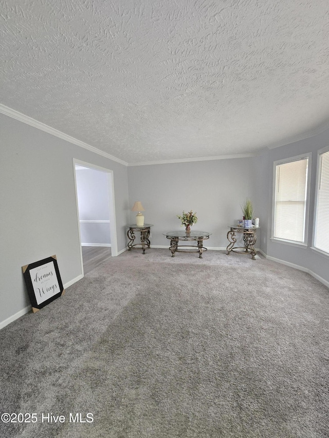 unfurnished room with crown molding, carpet floors, and a textured ceiling