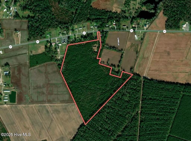 01 Hwy 41, Trenton NC, 28585 land for sale