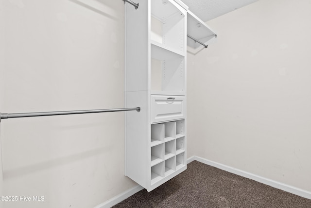 1652 Chadwick Shores Dr, Sneads Ferry, NC 28460 - spacious closet with dark carpet