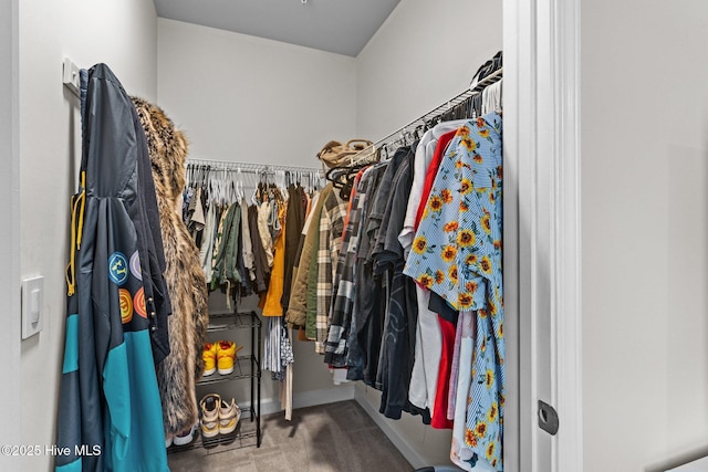 spacious closet with carpet