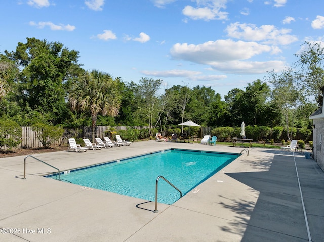 view of swimming pool with a patio