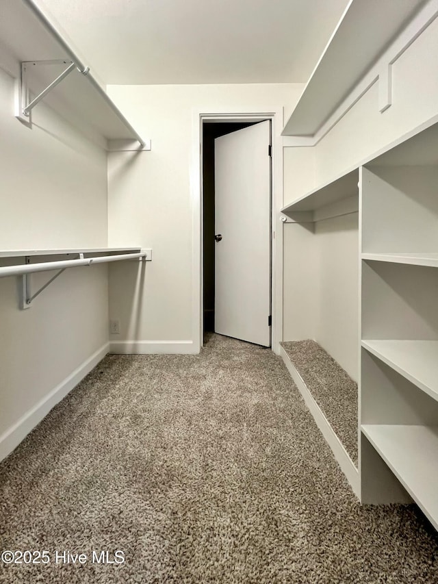 spacious closet with carpet