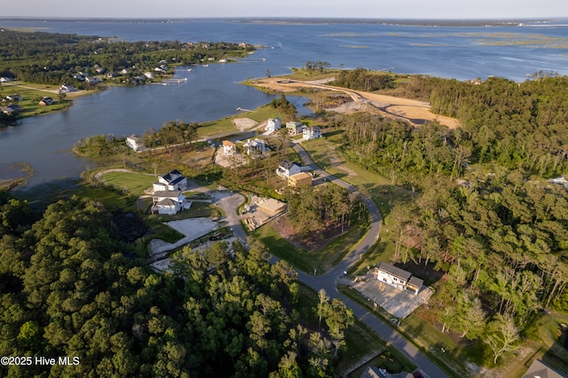 drone / aerial view featuring a water view and a view of trees