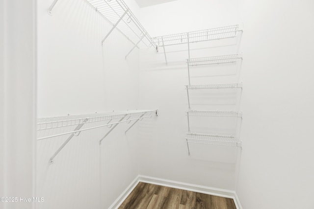 spacious closet with dark wood finished floors
