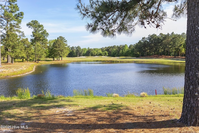 1010 Winterberry Cir, Leland, NC 28451 - water view