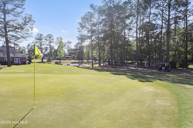 1010 Winterberry Cir, Leland, NC 28451 - view of community with an area to practice putting