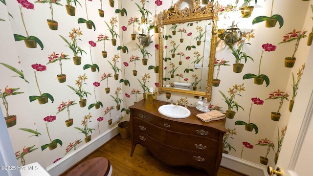 bathroom with wood-type flooring, vanity, and toilet