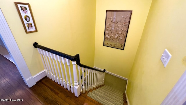 staircase featuring hardwood / wood-style flooring