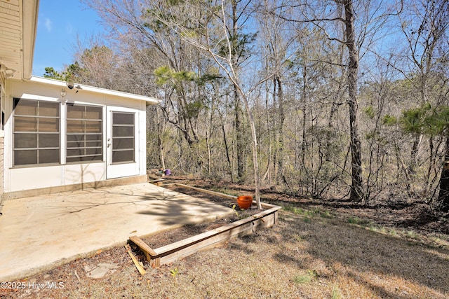 view of yard featuring a patio area