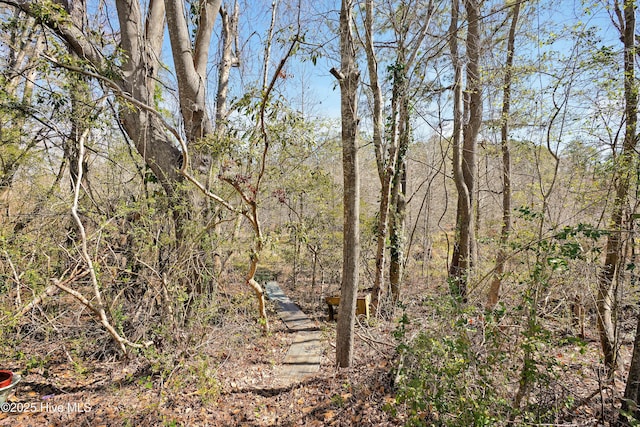 view of local wilderness featuring a view of trees