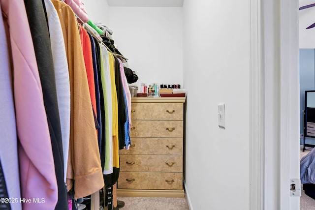 2306 Cottagefield Ln, Leland, NC 28451 - spacious closet with light colored carpet