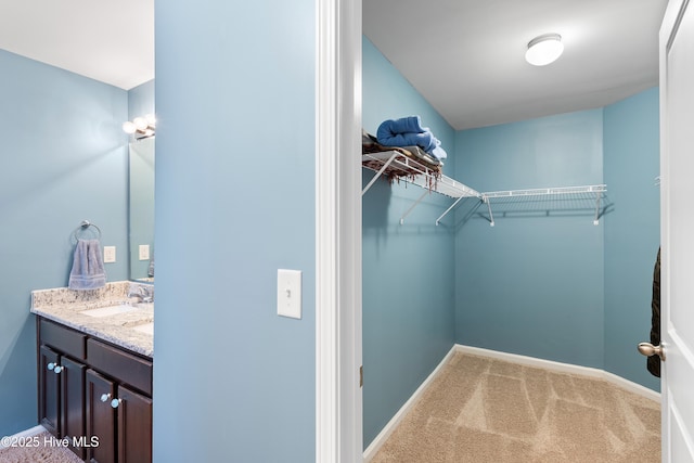 walk in closet featuring carpet and a sink