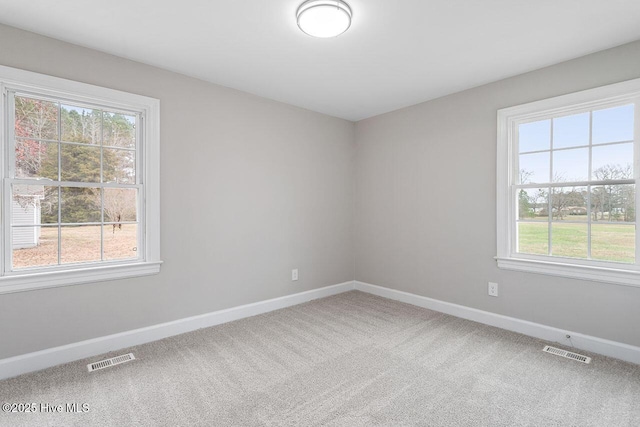 carpeted spare room with plenty of natural light