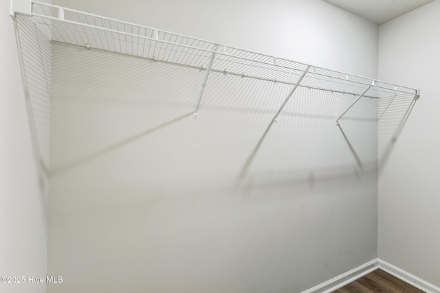 spacious closet featuring hardwood / wood-style flooring