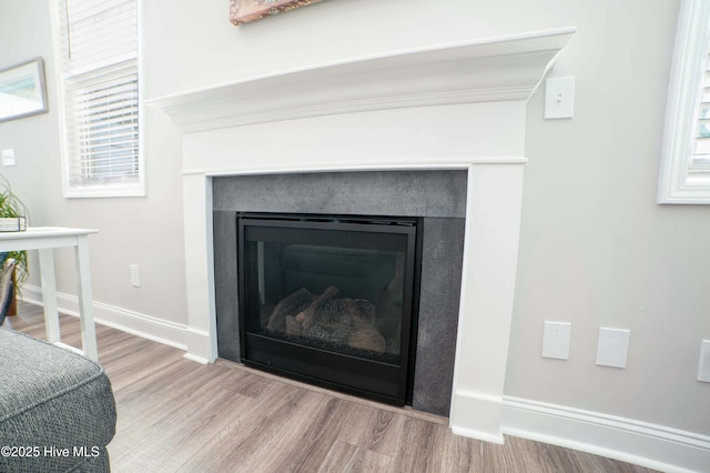 room details with hardwood / wood-style flooring