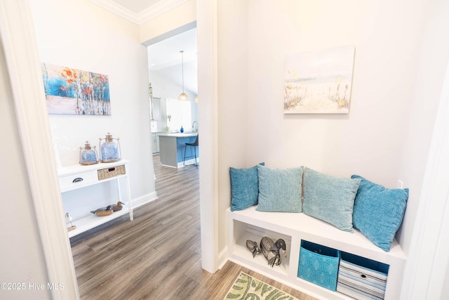 interior space featuring crown molding and hardwood / wood-style floors