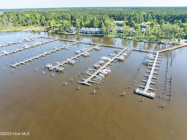 drone / aerial view with a water view and a view of trees