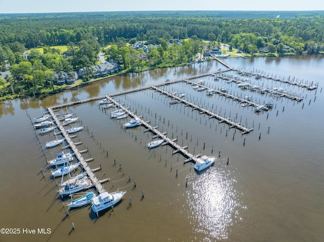 birds eye view of property with a water view and a view of trees