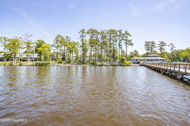 dock area with a water view