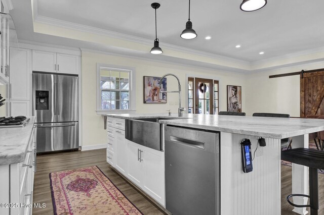 kitchen with a barn door, a healthy amount of sunlight, a raised ceiling, and stainless steel appliances