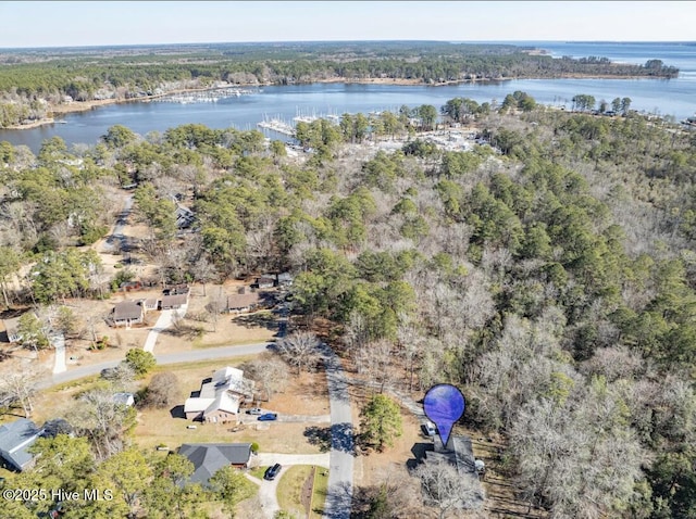bird's eye view featuring a forest view and a water view