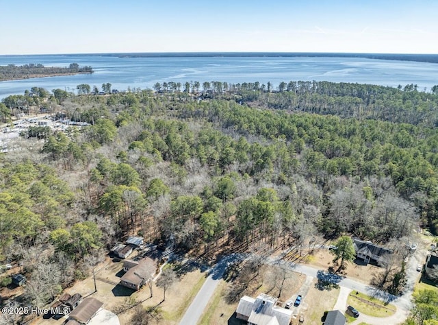 bird's eye view featuring a forest view and a water view