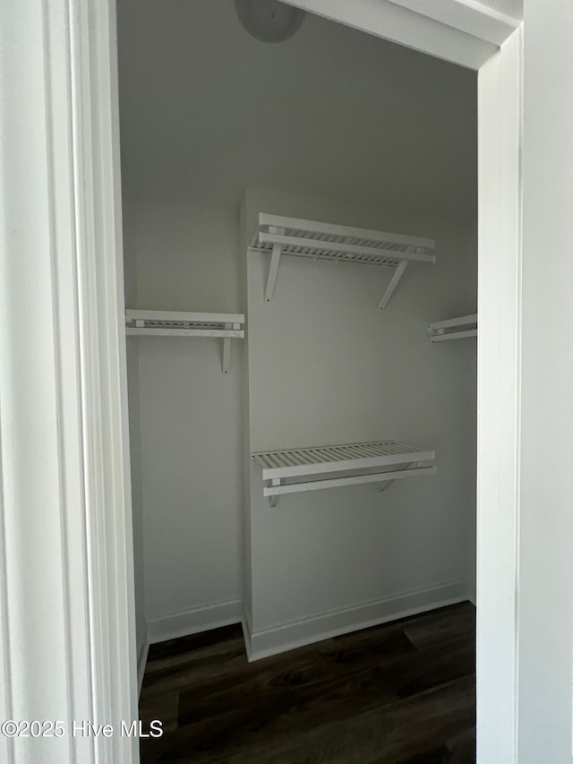 view of closet