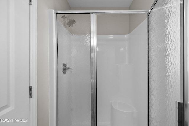 bathroom featuring a shower stall