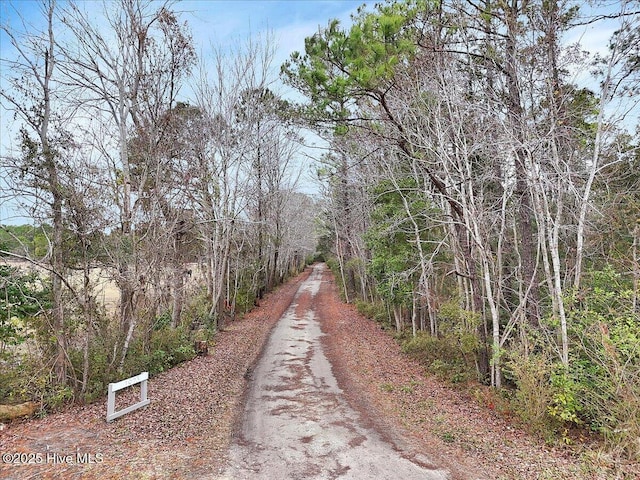 view of road