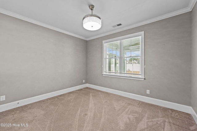 unfurnished room with crown molding and carpet floors