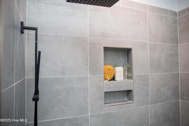 interior details featuring walk in shower