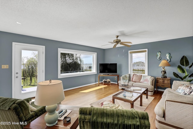 living room with plenty of natural light, a textured ceiling, light wood-type flooring, and baseboards