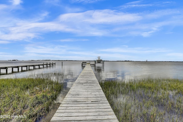 dock area with a water view