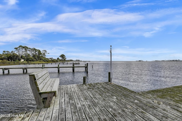 dock area with a water view