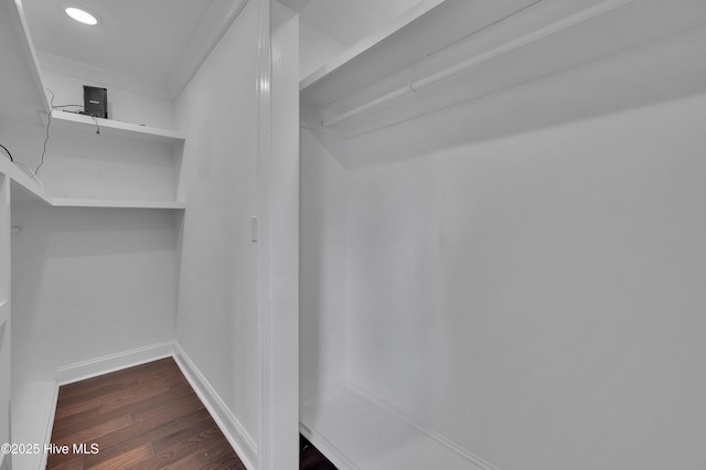 spacious closet with dark wood-type flooring