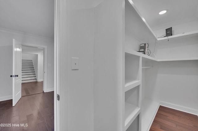 spacious closet with dark wood finished floors