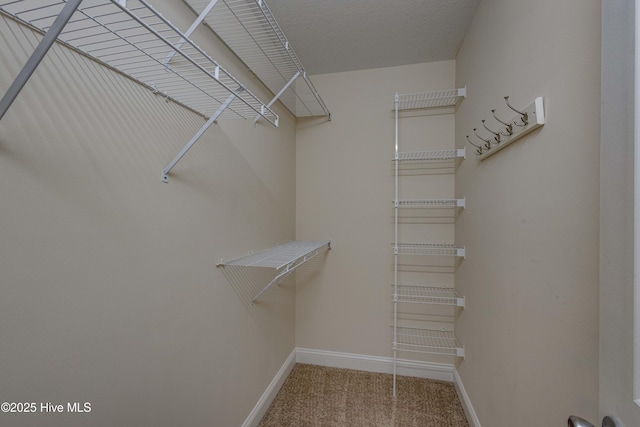 walk in closet with carpet flooring