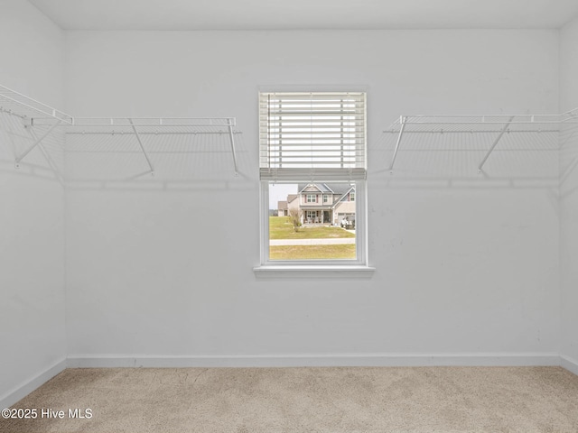 walk in closet with carpet floors